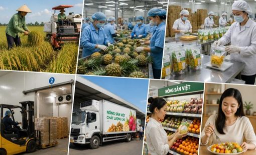 Từ ruộng đến tay người mua: Giá trị nông sản được tạo thêm ở những khâu nào?