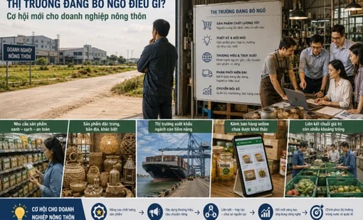 Thị trường đang bỏ ngỏ điều gì? Cơ hội mới cho doanh nghiệp nông thôn
