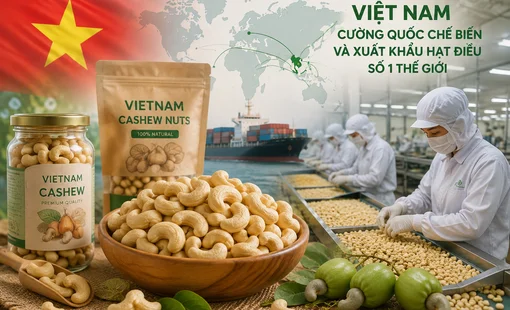Vì sao Việt Nam trở thành “cường quốc” chế biến và xuất khẩu hạt điều?