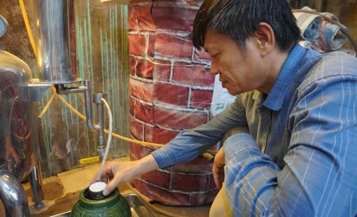 Hoa Cúc Tửu – Men say trăm năm, hương cúc làng Ngâu