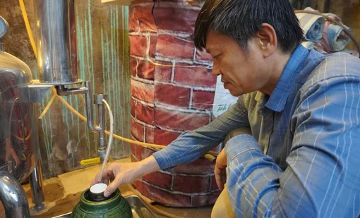 Hoa Cúc Tửu – Men say trăm năm, hương cúc làng Ngâu