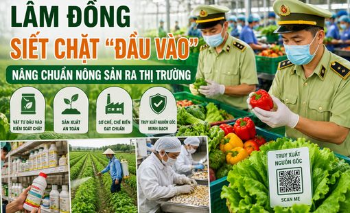 Lâm Đồng siết chặt kiểm soát chuỗi nông nghiệp, nâng chuẩn nông sản ra thị trường