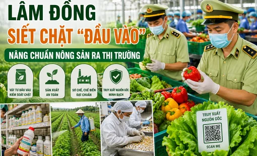 Lâm Đồng siết chặt kiểm soát chuỗi nông nghiệp, nâng chuẩn nông sản ra thị trường