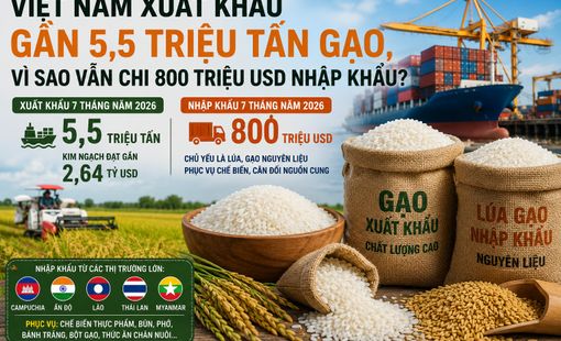 Việt Nam xuất khẩu gần 5,5 triệu tấn gạo, vì sao vẫn chi 800 triệu USD nhập khẩu?