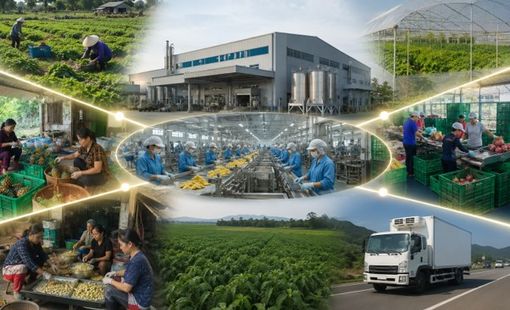 Nhà máy chỉ là phần nổi: Ai đang tạo ra công suất phía sau?