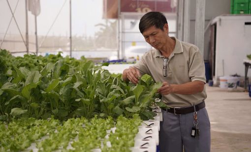 Từ Cộng Hoà Séc trở về, vợ chồng tuổi xế chiều tiếp tục cống hiến cho nông nghiệp quê hương