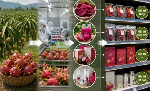 Cùng một nông sản, vì sao có sản phẩm bán được giá trị cao hơn?
