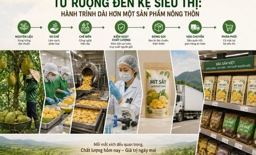 Từ ruộng đến kệ siêu thị: Hành trình dài hơn một sản phẩm nông thôn