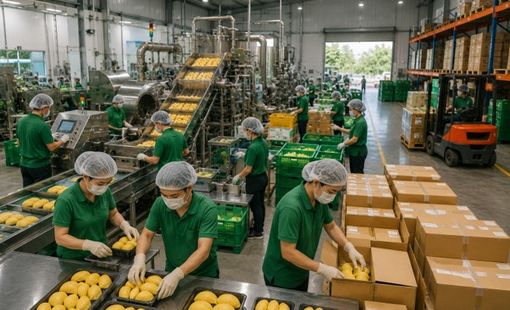 Đơn hàng tăng, nhà xưởng phải lớn lên: Bước chuyển phía sau những sản phẩm được săn đón