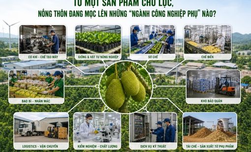 Từ một sản phẩm chủ lực, nông thôn đang mọc lên những “ngành công nghiệp phụ trợ” nào?