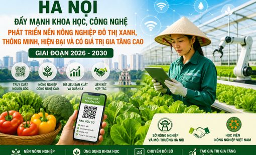 Hà Nội đẩy mạnh khoa học, công nghệ, hướng tới nền nông nghiệp đô thị thông minh