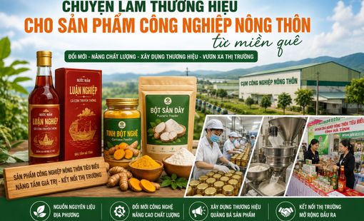 Từ sản phẩm quê đến thương hiệu: Khuyến công tiếp sức cơ sở nhỏ vươn xa