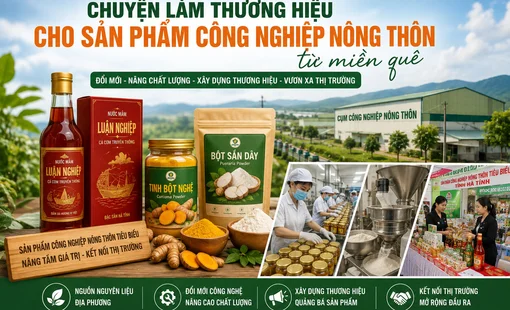 Từ sản phẩm quê đến thương hiệu: Khuyến công tiếp sức cơ sở nhỏ vươn xa