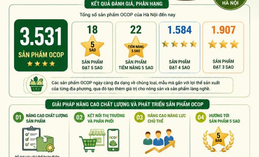 Hà Nội dẫn đầu cả nước với hơn 3.500 sản phẩm OCOP được đánh giá, phân hạng