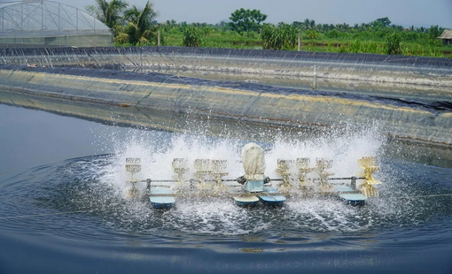 Nuôi tôm công nghệ cao mở hướng phát triển bền vững ở Tân Tiến, Thanh Hóa