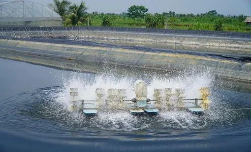 Nuôi tôm công nghệ cao mở hướng phát triển bền vững ở Tân Tiến, Thanh Hóa