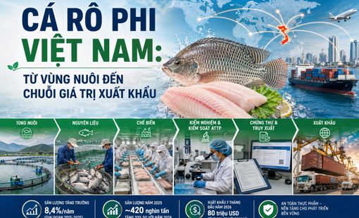 Cá rô phi Việt Nam: Từ vùng nuôi đến chuỗi giá trị xuất khẩu