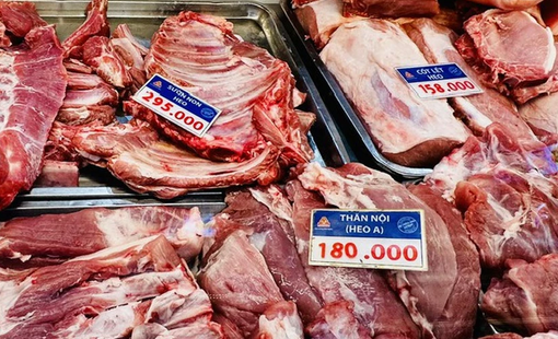 Giá heo hơi hôm nay 29/8: Miền Bắc giảm phiên thứ hai, mốc 60.000 đồng/kg thu hẹp
