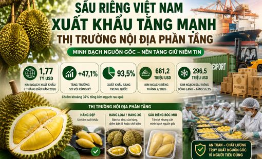 Sầu riêng xuất khẩu tăng mạnh, thị trường nội địa cần minh bạch nguồn gốc