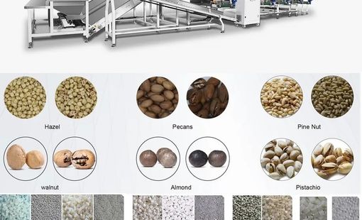 Máy phân loại bằng camera và AI: Cuộc nâng cấp âm thầm trong nhà máy nông sản Việt