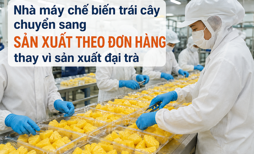 Nhà máy chế biến trái cây đang chuyển sang “sản xuất theo đơn hàng” thay vì sản xuất đại trà
