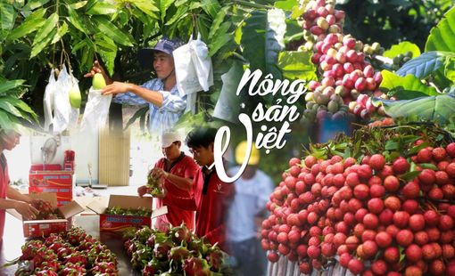 WTO phát đi hơn 50 cảnh báo SPS mới, hàng xuất khẩu Việt chịu sức ép