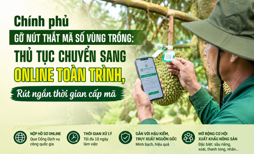 Chính phủ gỡ nút thắt mã số vùng trồng: Thủ tục chuyển sang online toàn trình, rút ngắn thời gian cấp mã