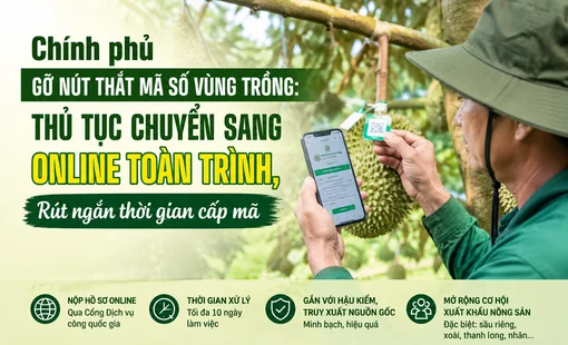 Chính phủ gỡ nút thắt mã số vùng trồng: Thủ tục chuyển sang online toàn trình, rút ngắn thời gian cấp mã