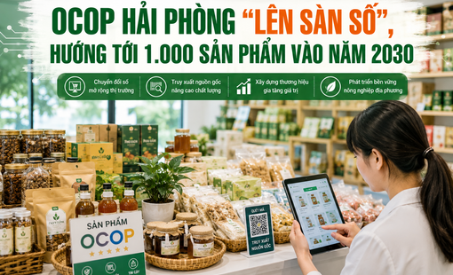 OCOP Hải Phòng “lên sàn số”, hướng tới 1.000 sản phẩm vào năm 2030