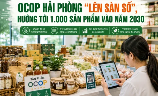 OCOP Hải Phòng “lên sàn số”, hướng tới 1.000 sản phẩm vào năm 2030