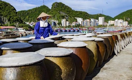 “Điểm nghẽn không nằm ở máy móc”: Vì sao nhiều cơ sở chế biến nông thôn vẫn khó tăng giá trị?