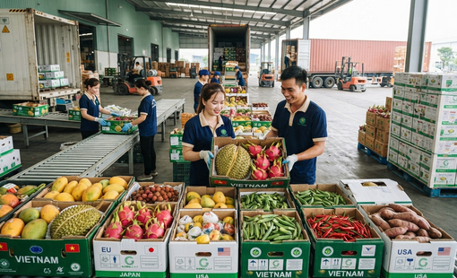 42,8 tỷ USD xuất khẩu sau 7 tháng: Nông sản Việt bước vào cuộc đua mới về chất lượng và giá trị