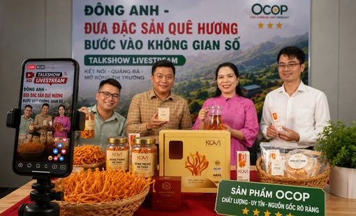 Địa phương đồng hành chuyển đổi số, mở rộng cơ hội tiêu thụ cho hợp tác xã nông nghiệp