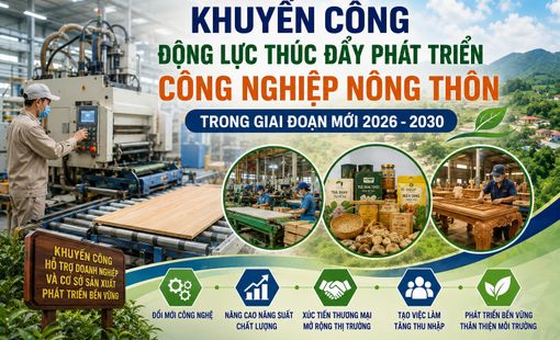 Tuyên Quang: Khuyến công tạo động lực phát triển công nghiệp nông thôn trong giai đoạn mớ