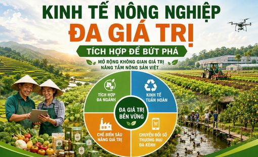 Kinh tế nông nghiệp đa giá trị: Hướng đi mới giúp nông nghiệp Việt Nam bứt phá bền vững