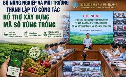 Bộ Nông nghiệp và Môi trường thành lập tổ công tác hỗ trợ địa phương xây dựng mã số vùng trồng