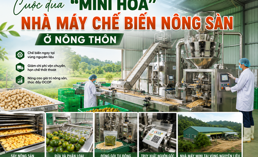 Cuộc đua “mini hóa” nhà máy chế biến nông sản ở nông thôn