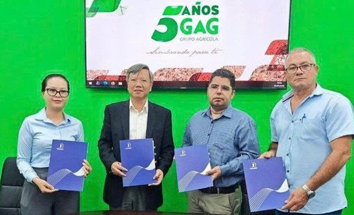 Doanh nghiệp Việt gặt “trái ngọt” từ dự án lúa gạo tại Cuba