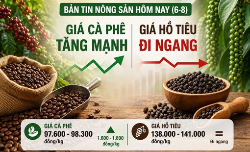Giá nông sản hôm nay (6-8): Giá cà phê bật tăng mạnh, hồ tiêu tiếp tục đi ngang
