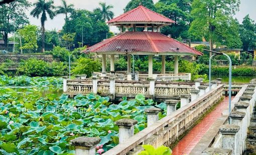 5 ngành học tại Trường Đại học Lâm nghiệp được hưởng học bổng