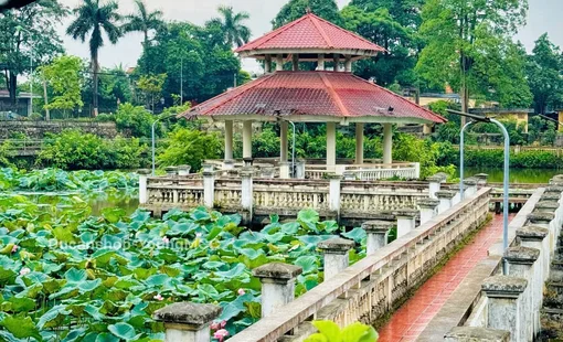5 ngành học tại Trường Đại học Lâm nghiệp được hưởng học bổng