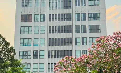 Trường Đại học Lâm nghiệp mở rộng cơ hội học tập tại trung tâm Hà Nội