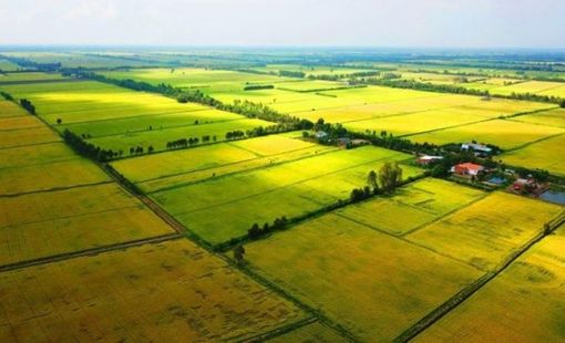 Khai thác hiệu quả quỹ đất nông nghiệp: Biến tiềm năng thành động lực phát triển bền vững