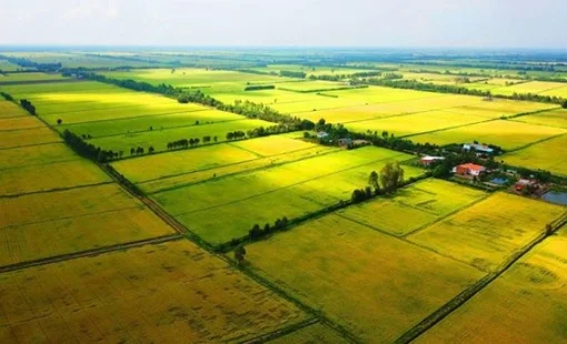 Khai thác hiệu quả quỹ đất nông nghiệp: Biến tiềm năng thành động lực phát triển bền vững