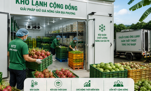 Kho lạnh cộng đồng: “Vũ khí giữ giá” mới của nông sản địa phương