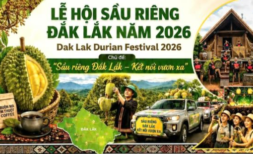 Lễ hội Sầu riêng Đắk Lắk 2026: Cú hích nâng tầm thương hiệu, siết chặt mã số vùng trồng để chinh phục thị trường xuất khẩu