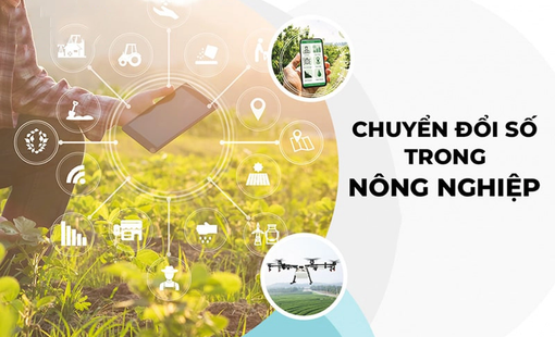 Chuyển đổi số tạo đột phá cho nông nghiệp Hà Nội: Minh bạch nguồn gốc, nâng cao giá trị nông sản