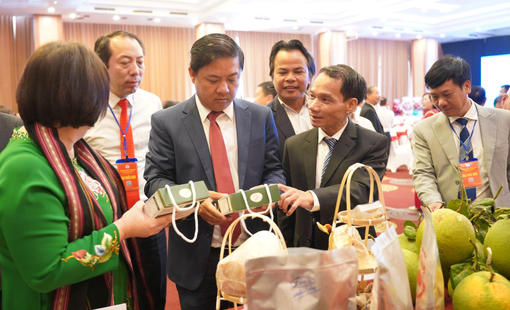 Xây dựng mô hình HTX kiểu mới: Động lực kiến tạo nền kinh tế nông thôn hiện đại và bền vững