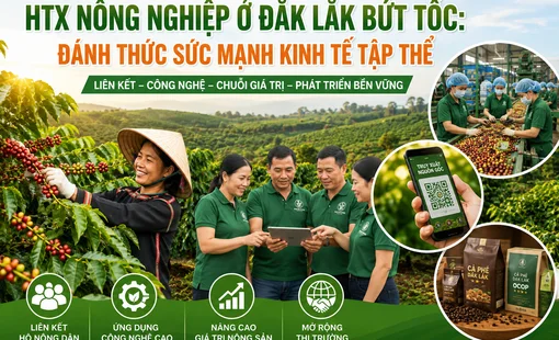 HTX nông nghiệp Đắk Lắk bứt phá: Động lực mới cho kinh tế tập thể và chuỗi giá trị nông sản