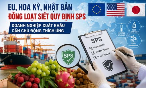 EU, Hoa Kỳ, Nhật Bản đồng loạt siết quy định SPS, doanh nghiệp xuất khẩu cần chủ động thích ứng